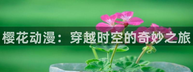 51动漫破解